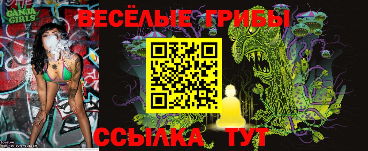 Псилоцибиновые грибы мухоморы  Вход с VPN  Долгопрудный  Псилоцибиновые грибы Psilocybine cubensis 